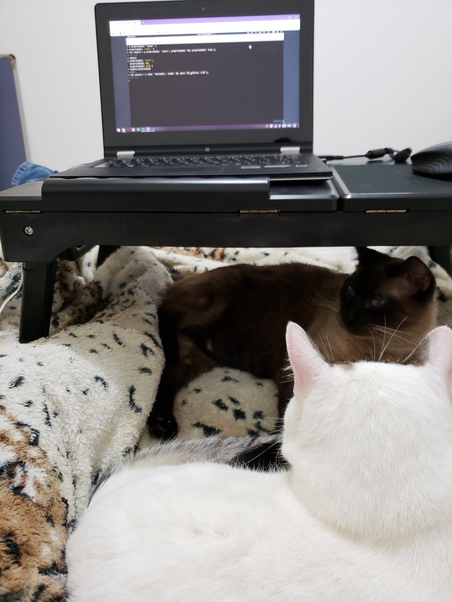 BetaSchmitz's tweet image. #CodandoJuntas de hoje