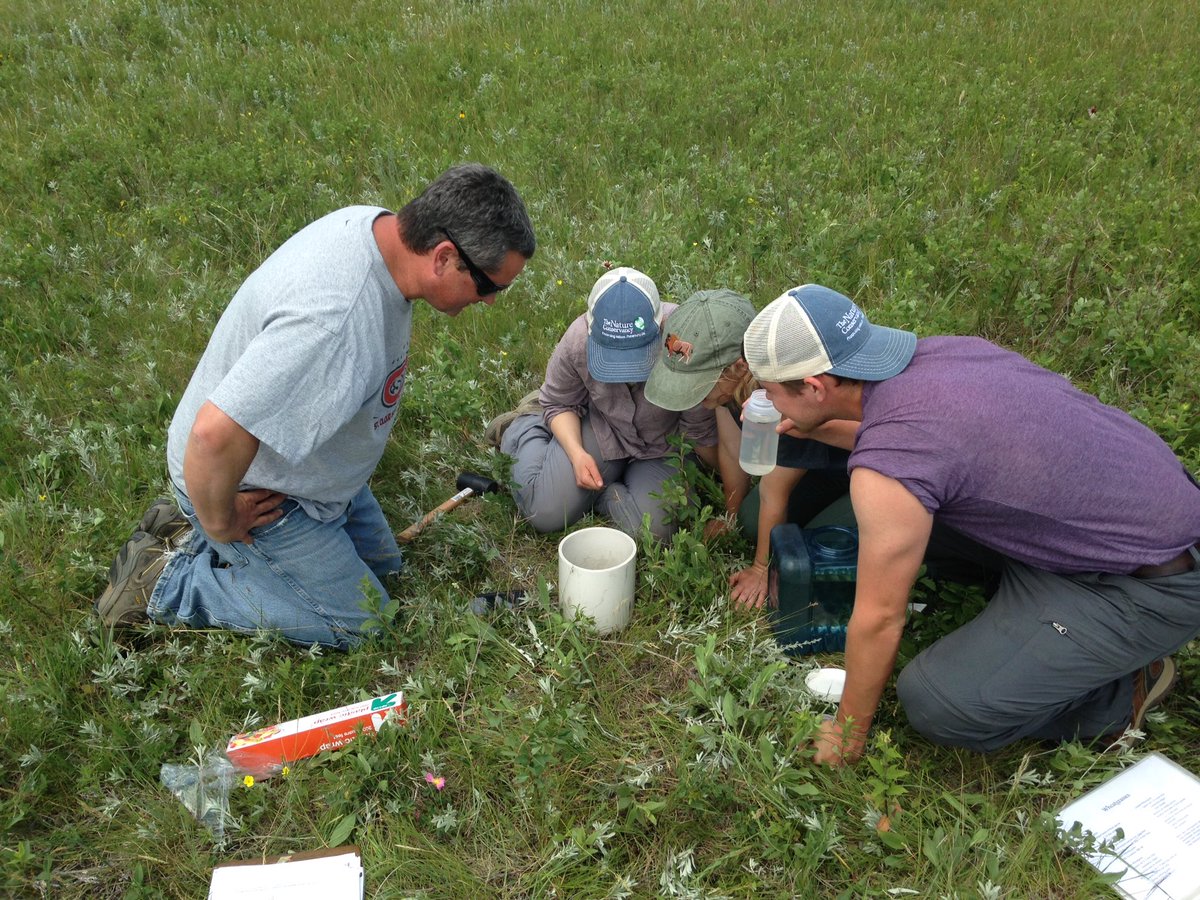 mahlering's tweet photo. Watching water #infiltration still beats desk work! #CrossRanch #SciMDK #SciFieldwork #2InchesOfRainLastNight https://t.co/uxxPUQHmnB