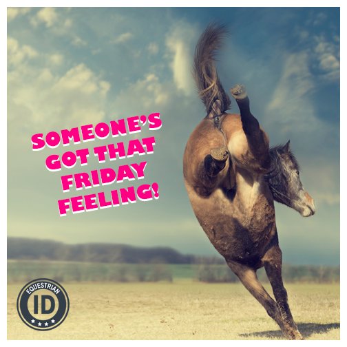 Equestrian_ID's tweet image. It&apos;s Friday! Do you have that Friday Feeling? What are your plans over the weekend? :)

#showjumpinghour #tackroomfriday #equestrian247 #equestrianhour #tophorsetweets