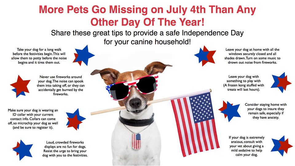 Brickyard Petsmart tweet media