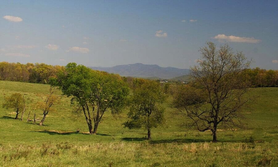 EstatesVirginia's tweet photo. This beautiful 331-acre property in Augusta County is so much more than just a farm – with potential uses from golf courses to industrial &amp; educational developments, across stunning hills with mountain views. Call to schedule a viewing! #VirginiaEstates  
https://t.co/wBKr4NeJdy https://t.co/tNDslUTWkg