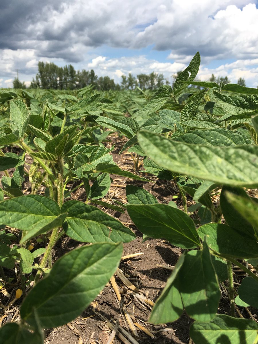 Jason Klassen tweet media