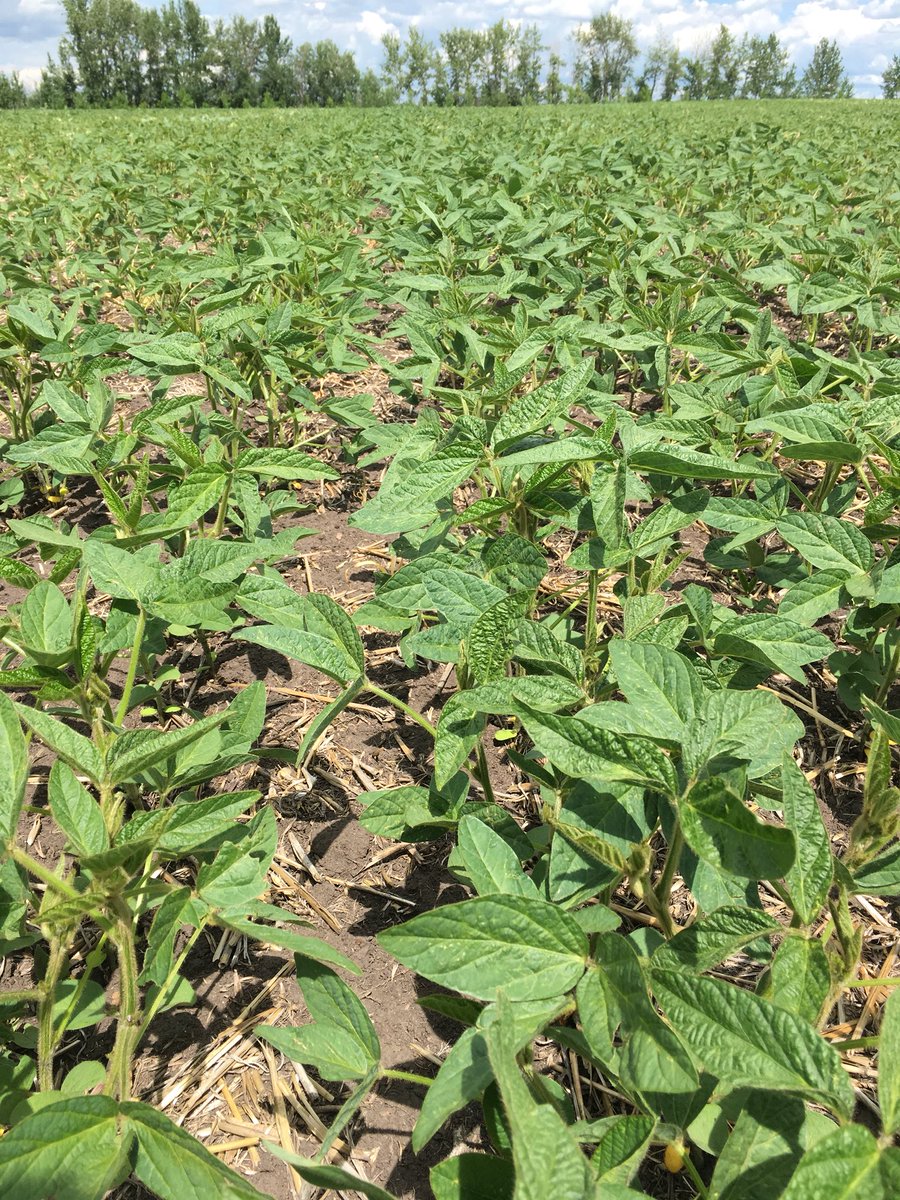 Jason Klassen tweet media