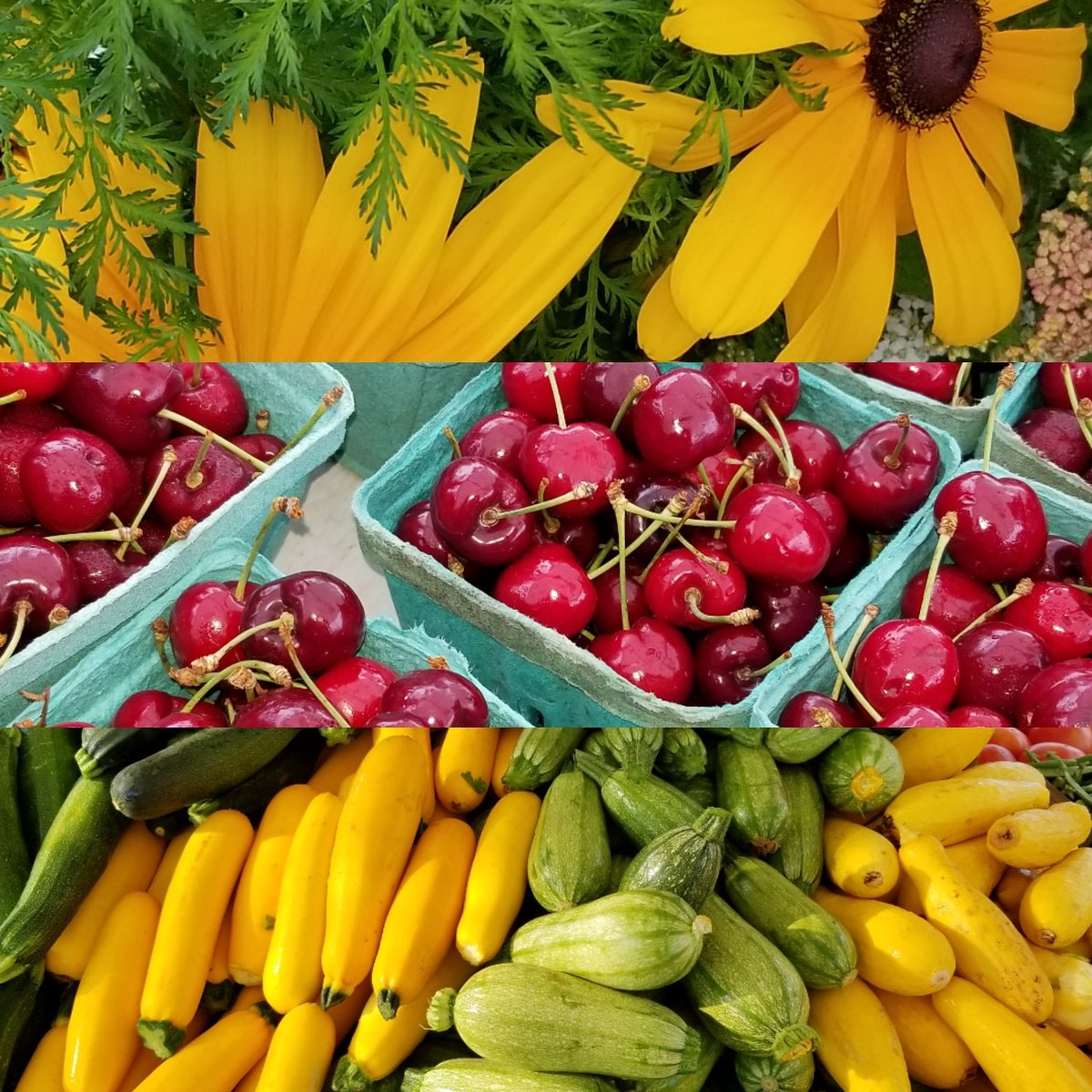 FPFMMerritt's tweet photo. Scratch and sniff or... come on by tomorrow and shop FRESH and LOCAL!! 7:30-12:30...#waterfront #music #fresh #visit https://t.co/I9pFmfpBjp