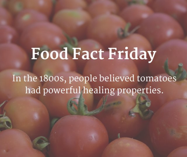 IlCorsoCA's tweet photo. We knew our love for tomatoes was justified. https://t.co/PVqSV0sHnT