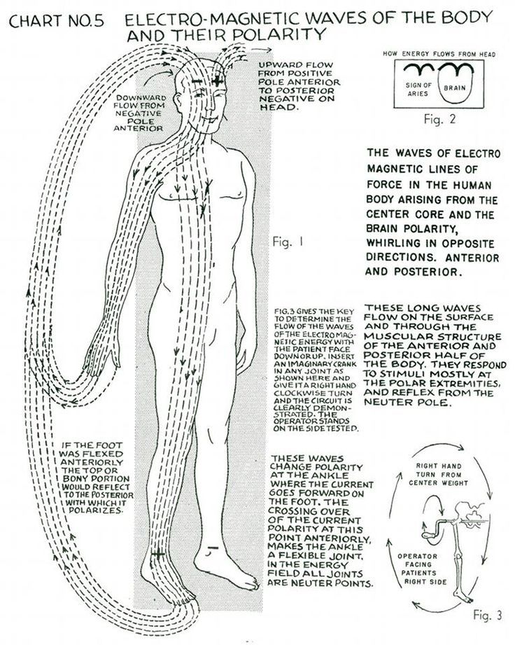 Composite picture of the pattern forces of the body & their wireless circuits.