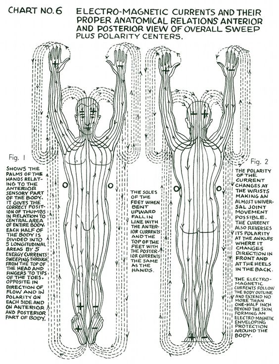 Composite picture of the pattern forces of the body & their wireless circuits.