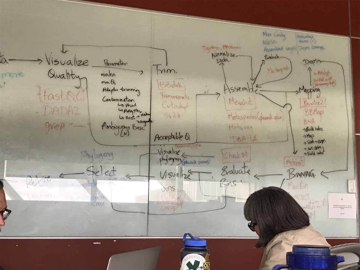 scienceclar's tweet image. Flow chart summary of the past week at @UCalgary #BioinformaticsWorkshop. Thanks for all the guidance, @xiaoliidong @marc_strous, and @srijakbhatnagar!
