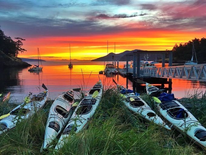 Visit San Juan Islands tweet media