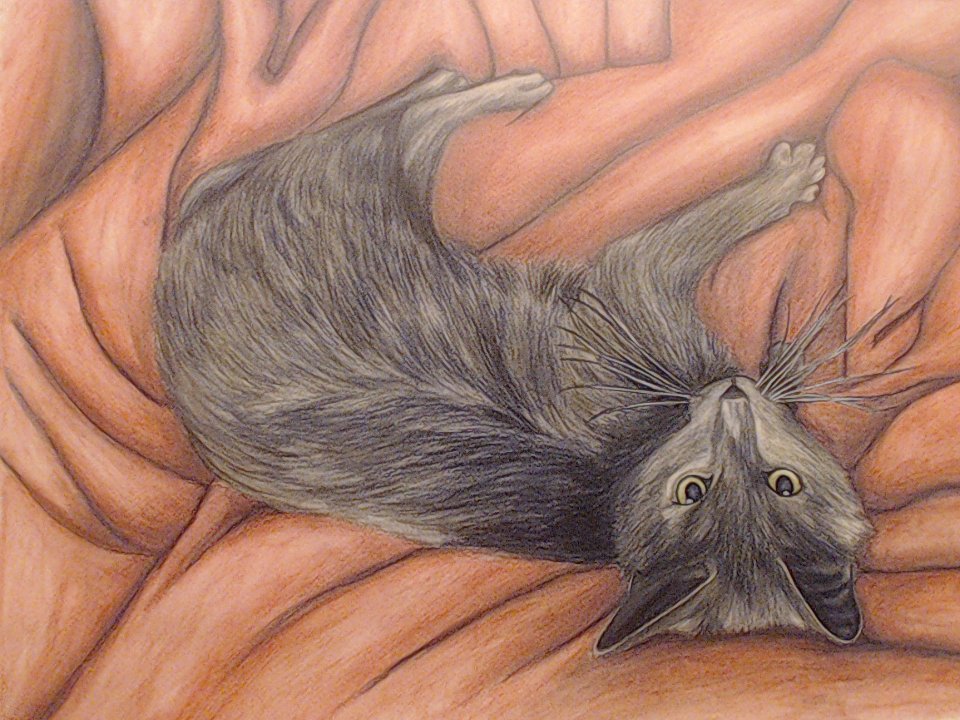 Abigail_Arts's tweet photo. Drawing my sweet cat with Derwent Metallic pencils - Part 7. DONE! :ฤ
#drawing #pencilart #pencil #coloredpencil #derwentpencils #derwentmetallicpencils #metallic #yea #cat #mysweetcat #olnlymine #xd #painting #watercolor #done #donework https://t.co/ZdiQyWEOJW