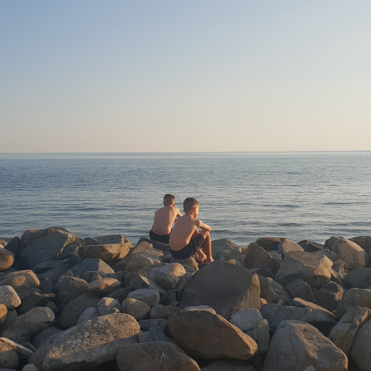 Debbie Carter tweet media