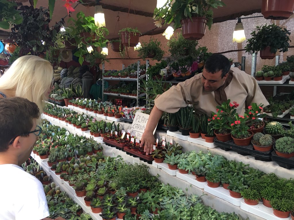 TenenciaSPA's tweet photo. MERCADO COLONO de #SanPedroAlcántara en #MarquésdelDuero. Genial ambiente esta noche en el centro De San Pedro. #DisfrutaSanPedro #MercadoColono #Fiestas #Eventos https://t.co/wQ7AE4G6bC