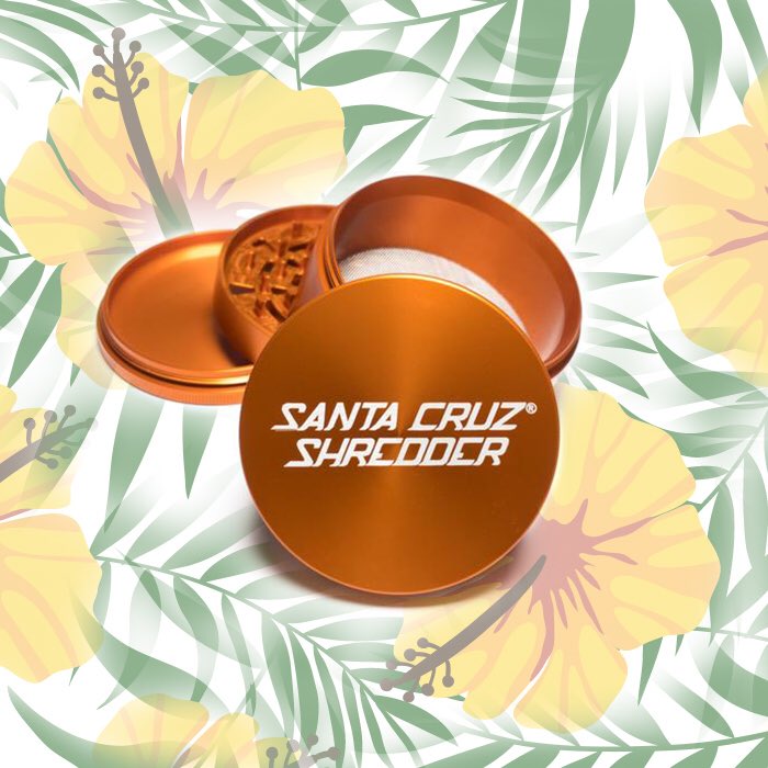 BOBHQ's tweet photo. Summer Vibes with Santa Cruz Shredders https://t.co/fvqHzphQDh