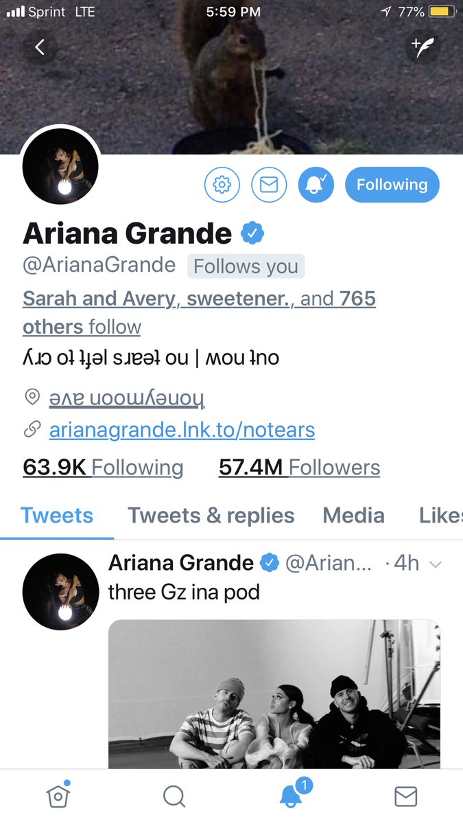 AllyGanz's tweet photo. Dreams do come true... My Idol💫 and my favorite American Idol🎤 https://t.co/Mra4XmPbKL