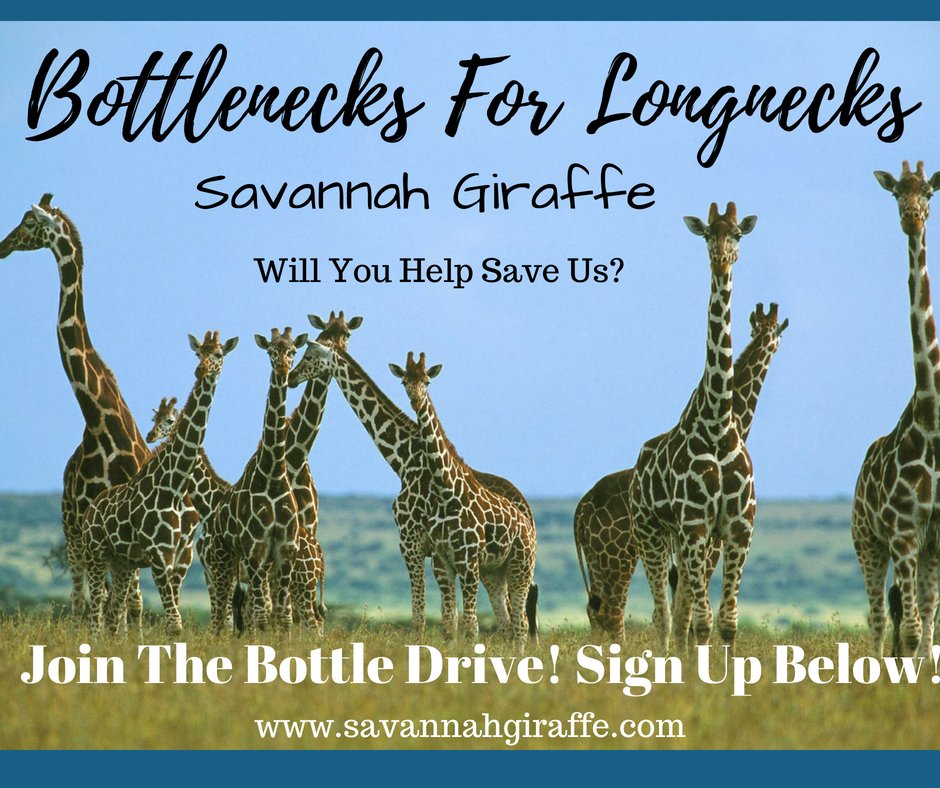 Savanahgiraffe's tweet photo. You CAN make a difference RIGHT NOW &amp; help giraffe conservation in Africa, keep our oceans cleaner &amp; marine life safer-Sign Up &amp; Join Us One Bottle At A Time!  #Bottlenecks4Longnecks Go to our website for details NOW! Funds go to GCF https://t.co/d1uHI2pdC5 #StandTallWithGiraffes https://t.co/gUQUbeTm0y