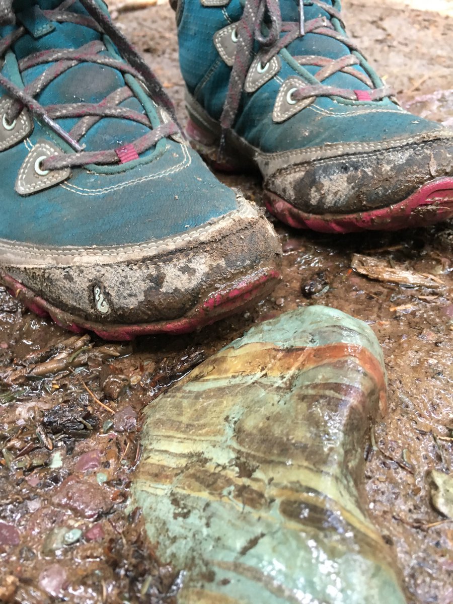 HopeHumorHolly's tweet photo. Hiking @GlacierNPS last week I was thinking my latest booking for @Carle_org brain injury symposium "Hiking to the Top of Mt. TBI and Back! #hopehumorinspiration #traumaticbraininjury #tbi #hiking https://t.co/1431y7IsM5