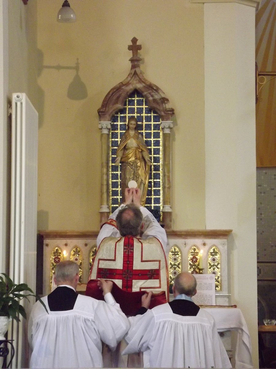Catholic Heritage pilgrimage to Borris, County Carlow, Ireland, seat of the ancient King of Leinster with a Traditional Latin Mass in the Parish Church of the Sacred Heart on Saturday 28th July at 3 pm. Come and pray!