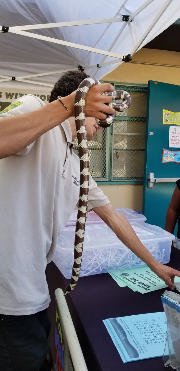 lacountyparks's tweet photo. #SmoothTouch Band kicking off the #ParksAfterDark night with some #flashback hits at #RimgrovePark in #LaPuente. And if you're feeling Wild, #WhitterNarrows brought out some animal friends to entertain the whole family. @HildaSolis https://t.co/1sXJta9UUR