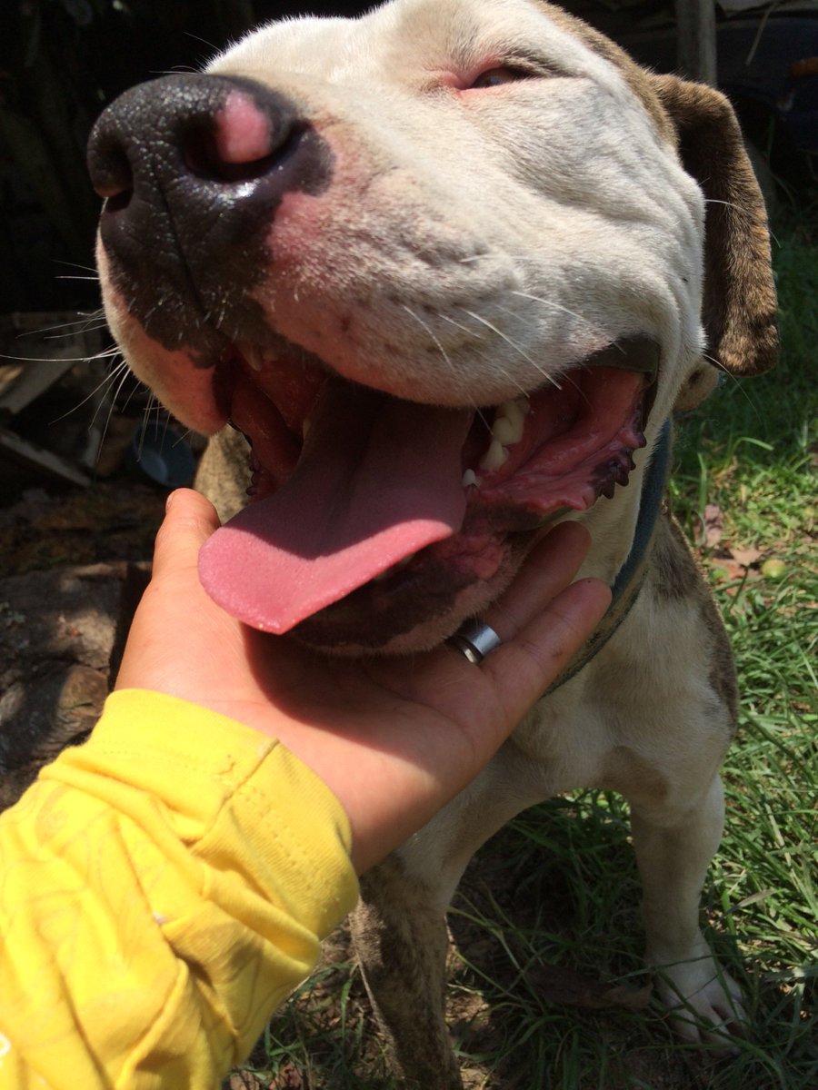 Mi bebe