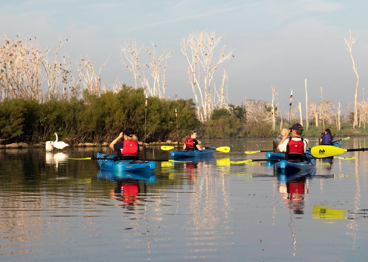 TRCA_TTP's tweet photo. Beat the heat by getting on the water! New this year: tours of #TommyThompsonPark... by KAYAK! Explore the western shorelines of this wilderness from a whole new perspective. Next tour is July 6th.
https://t.co/GTzgIkATYo … #naturetour #paddling #wildlife #10waters https://t.co/zomg1iBX24