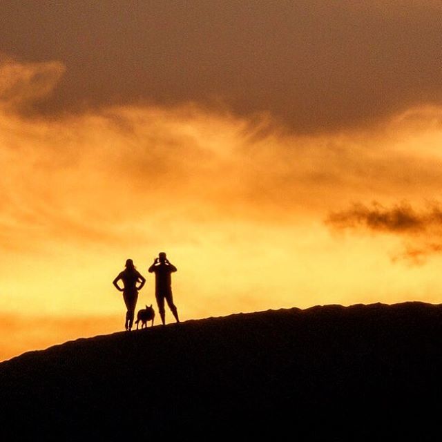 iStefPayne's tweet photo. Mans best friend, best girl, and dunes for days in southern Colorado at Great Sand Dunes National Park. Hope everyone has some adventure tees up this weekend!! .
.
.
.
#colorado #sanddunes #dunefield #sillouette #adventurers #sunsetgram #getoutstayout #gโฆ https://t.co/Mkk8LFDI3P https://t.co/ah9TSqfWEi