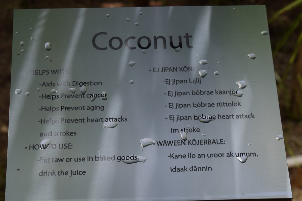 Canvasback Missions tweet media