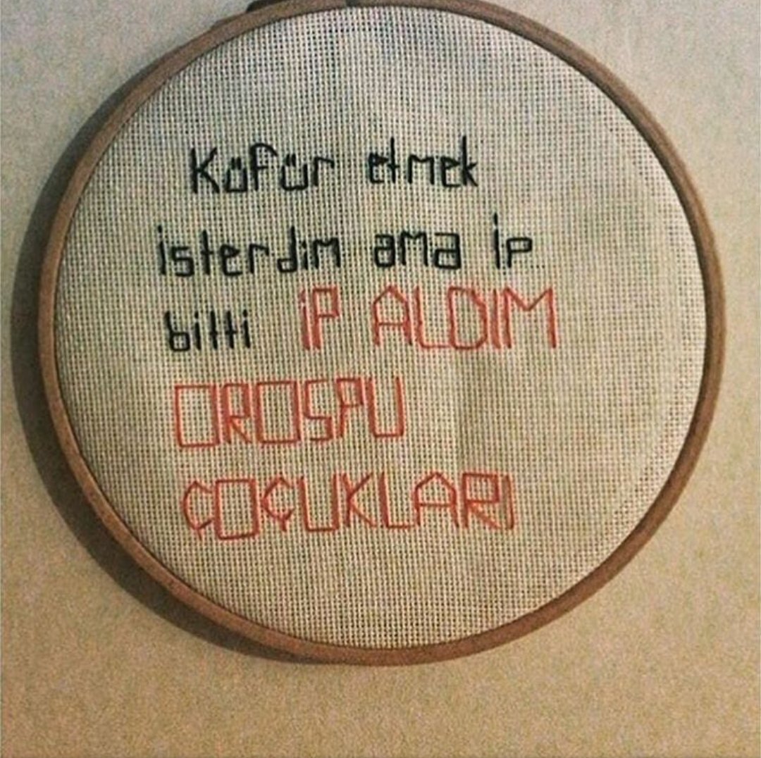 Ursula 🐳 tweet media