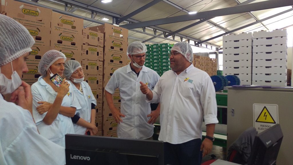 colfruits's tweet photo. Excelente visita de asistentes @Fruitnet_Colomb se conto con personas con amplio conocimiento de #avocado #hass compañias como @Tesco @fTROPS #supafresh #azfrance gracias a @FelixFruitnet @maurafruitnet y a @PROCOLOMBIACO por esta visita!
🇨🇴🥑🇨🇴 #ElRenacerDelCampo https://t.co/NFaFCfrHz1