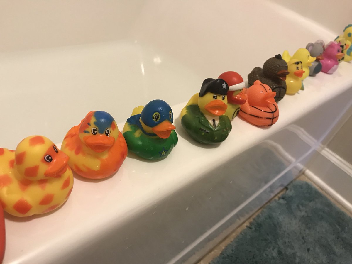 EveMeinhardt's tweet photo. My six-year-olds got all their ducks in a row. I sure wish some adults out there would do the same. https://t.co/Ux7R2WGspo