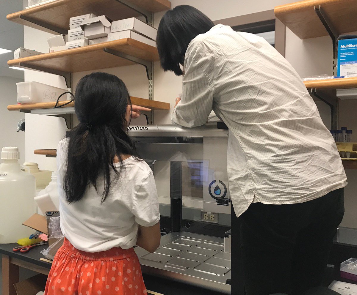 KSamerotte's tweet image. I'm excited to use our new @OpenTrons_ robot for two-step PCRs as part of #1BigBatch. We lucked out having a HS intern @graceyraspberry on a robotics team @spacecookie1868 to show us some pro tips during assembly! @GrantKinsler @PetrovADmitri @mmascar1