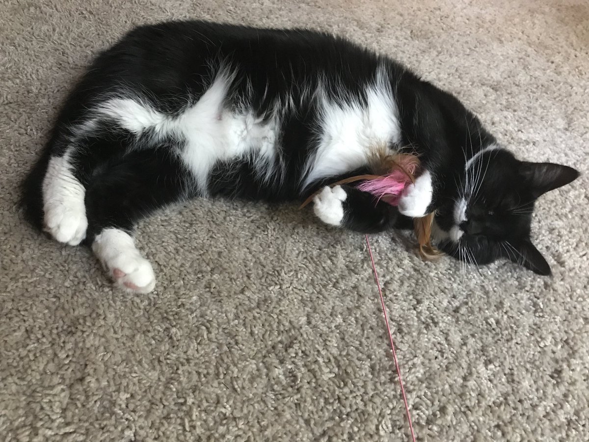 I caught this feather and I’m never letting go 😴