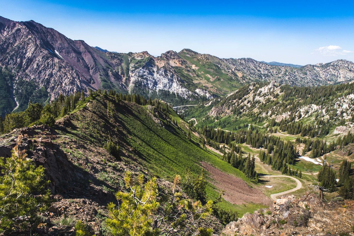Snowbird's tweet image. The weekend is here, it feels like a big open breath of fresh air.
📷: @Chris_Segal #getyourweekend