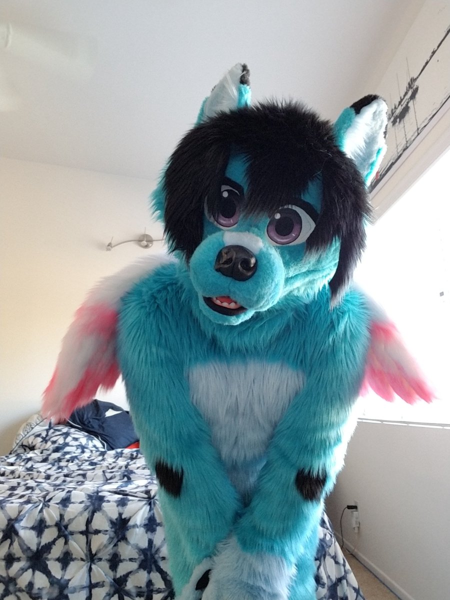 Tommy Lightdancer tweet media