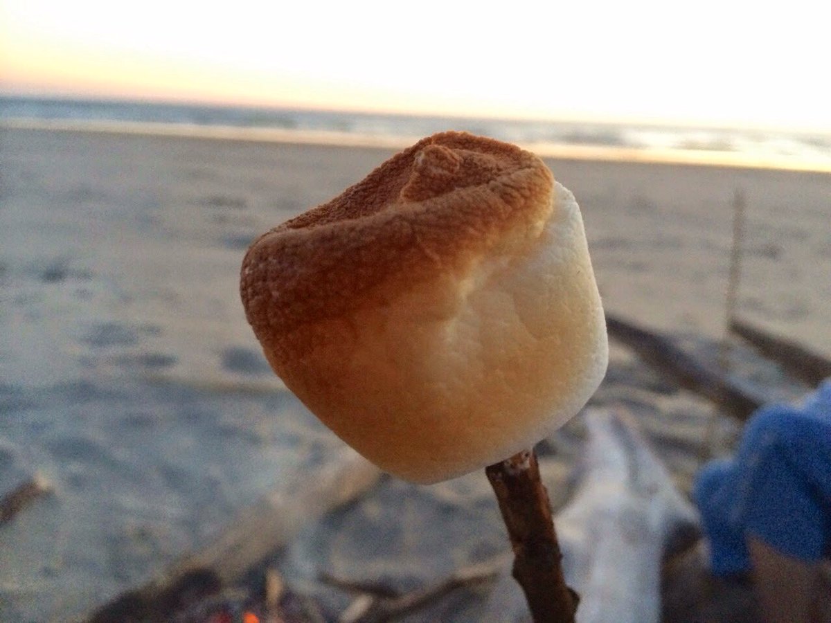 rockettruck's tweet photo. Thank you, @BrickyardWS ! Have a merry 4th!
Here's your Tip War results: Marshmallows toast Hot Dogs with 69%.
#TipWars #RoastingMarshmallows #RoastingHotDogs #campfire #FoodOnSticks https://t.co/5GxApIlPTL