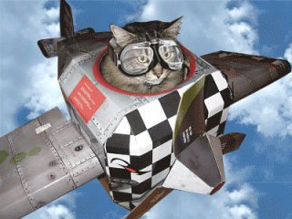 今日１日、超低空飛行に入ります❗