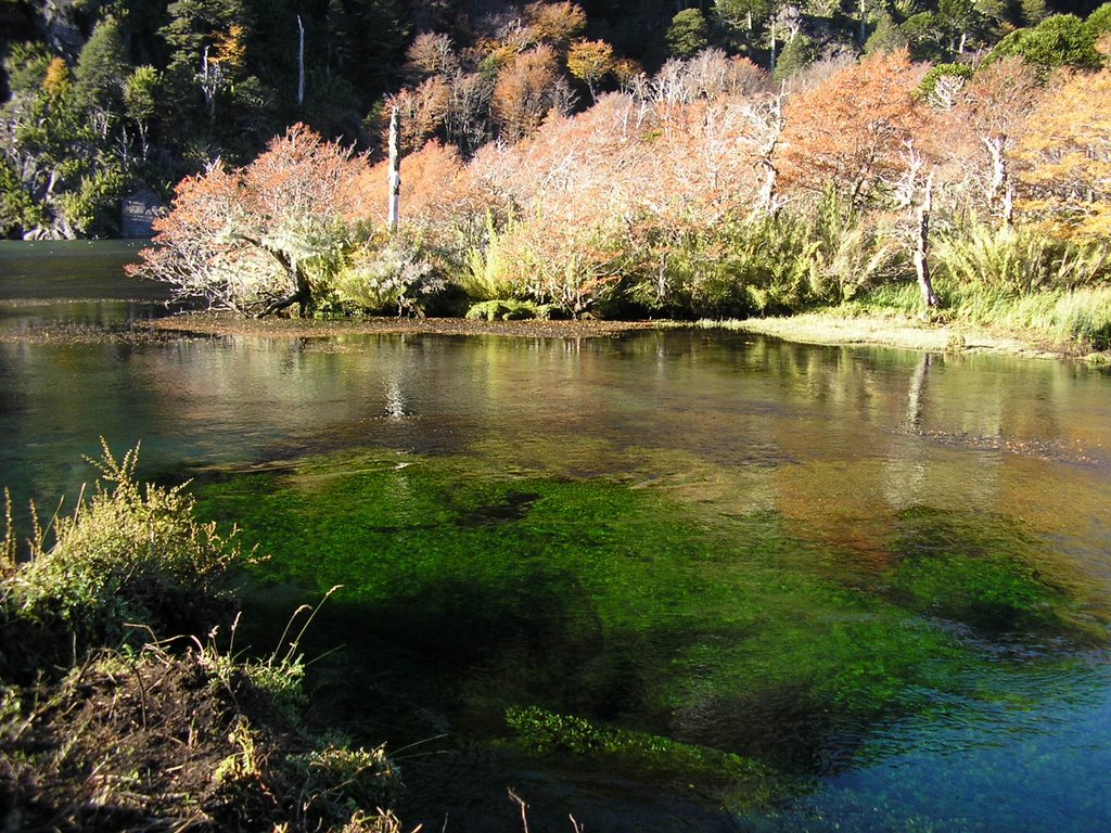 ftoloza's tweet image. #ColoresDeChile
Río Puesco
Curarrehue,
Parque Nacional Villarrica; 
Región de la Araucanía, Chile.

#landscape #Viaje #Travel #ttot #viajar #travelbloggers #travelinspires #trekking #TravelBlogger