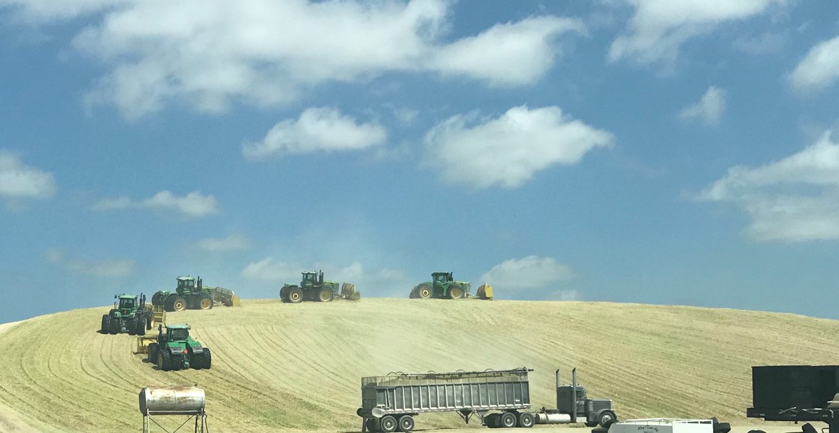 Central Texas farm country is busy harvesting silage corn.  Literally 100s of 18 wheelers on all the country roads hauling silage to central farm locations for storage. Nothing is done in a small way in Texas!