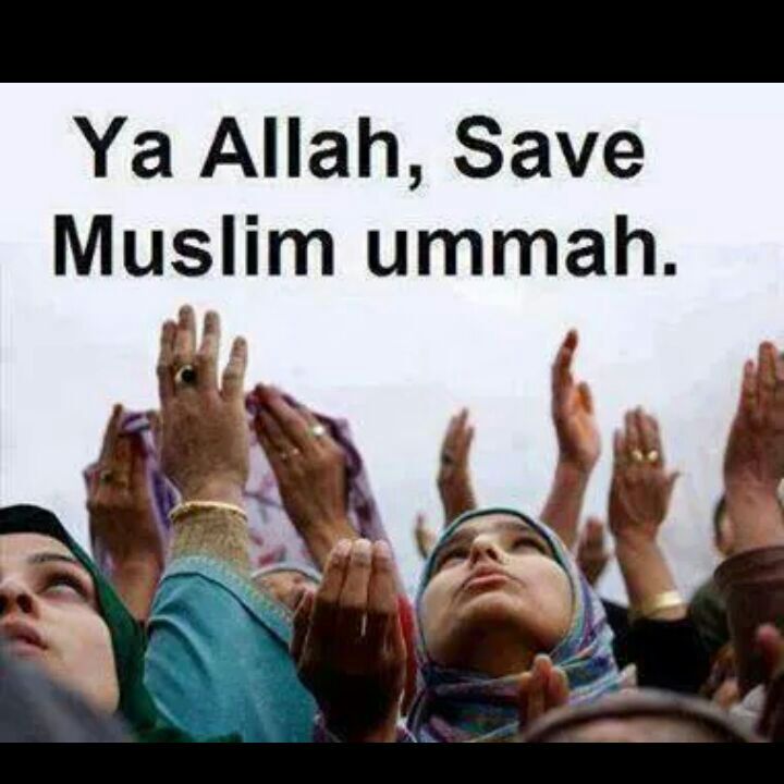 Islam4All6's tweet photo. https://t.co/84iRAMflus