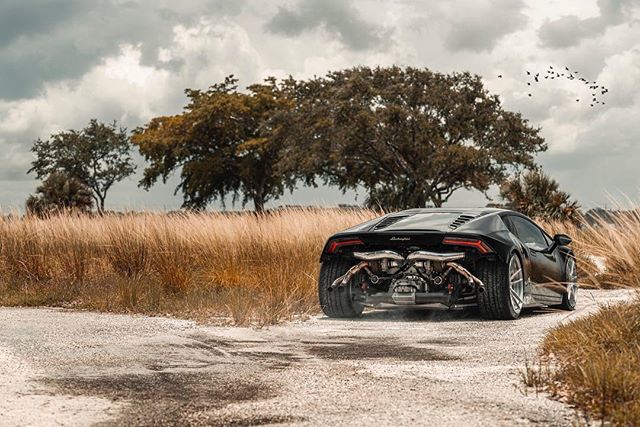 WilliamStern's tweet photo. No comment...
@adv1 @tr3performance @adv1_juan
#adv1wheels #tr3performance #turboupgrade #lamborghini #huracan #turbo #black #safari #wheels #performance #birds #colors #exotic @black_list #miami #floridaNo comment...
@adv1 @tr3performance @adv1_juan
#adv1wheels #tr3perfor… https://t.co/UjJLBYTsgD