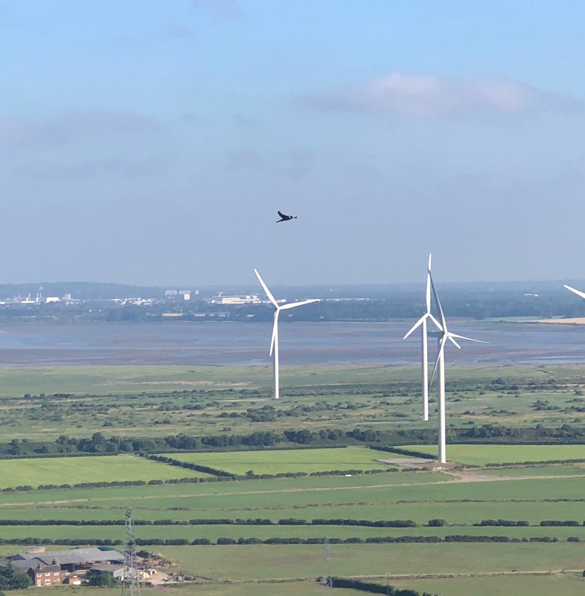Frodsham &amp; <a href="/PoweyLaneFS/">Powey Lane Fire Station</a> Fire Fighters have returned to Helsby Hill and are damping down with hosereels. 
Pleased to report that the peregrine falcons have been seen alive &amp; well. 🚒🚒
#helsby #frodsham