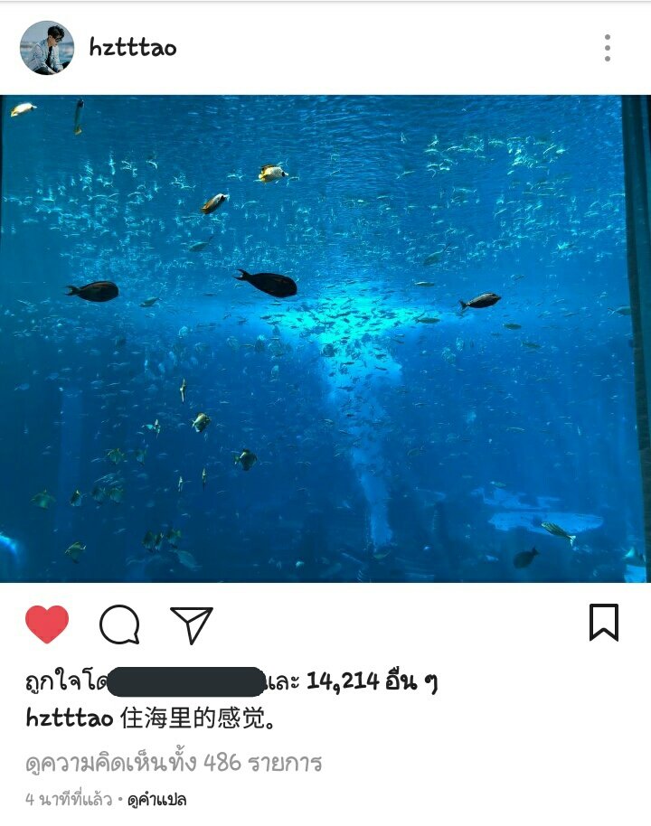 TAO 2 DUO tweet media