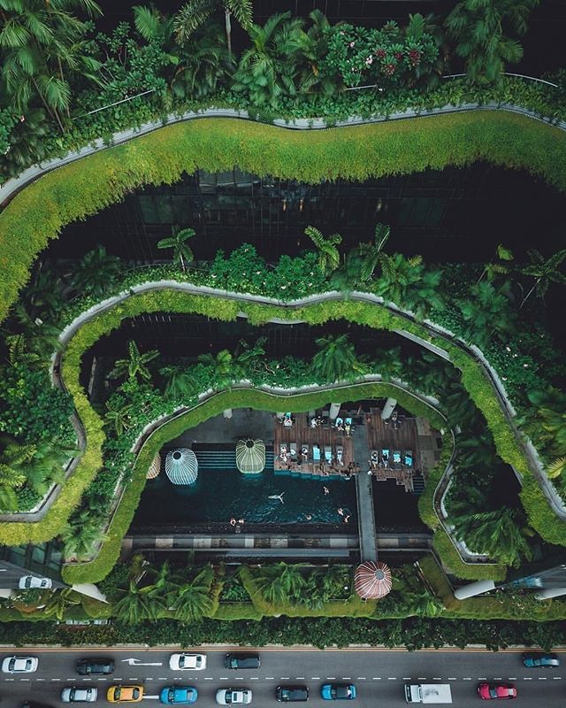 fubiz's tweet image. Urban Jungle 🌴 by @kevouthere
#fubiz #inspiration #photography #paperart
Mention @fubiz if you want to be featured on our Instagram bit.ly/2KmpGXK