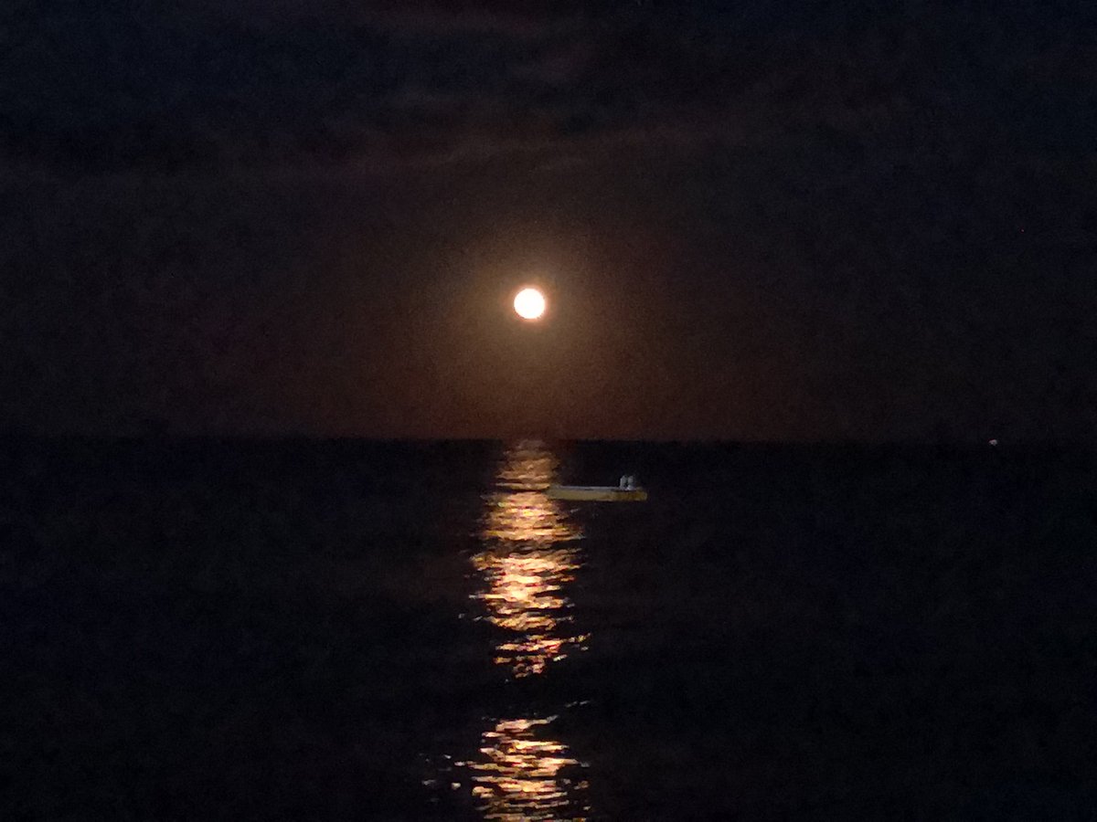 simona_marti's tweet photo. Ieri sera la luna era fantastica... https://t.co/QEtvfGLYnn