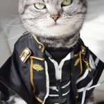 猫もコスプレしたらかなり印象変わるっていうかむしろかっこいいんだけどw