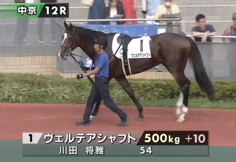 LongBallToNoOne's tweet photo. First run since March 31 and he is 10kg bigger but 3c WELTHERRSCHAFT (Deep Impact x Hilda's Passion) looks ready to go in the last at Chukyo.
Brother to USA G1 winner YOSHIDA who ran well in the UK last week
#putintakeout https://t.co/pHk0mQzZsm