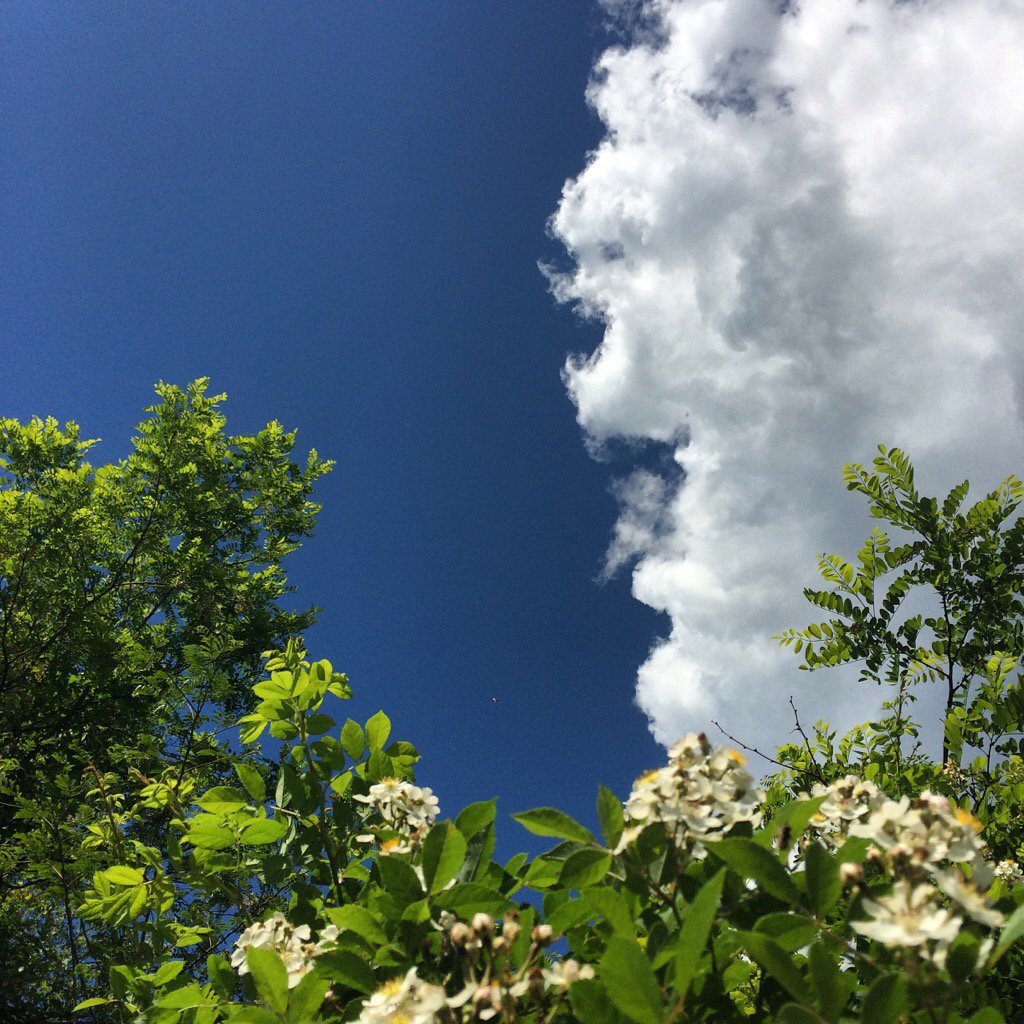 TYSM <a href="/ZodiacLiveTarot/">Zodiac Live Tarot</a> nice to see you always ;-) happy weekend