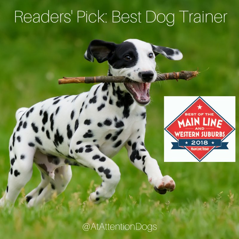 AtAttentionDogs's tweet image. Did you hear? #BestofMainLine #MainLine #Philly