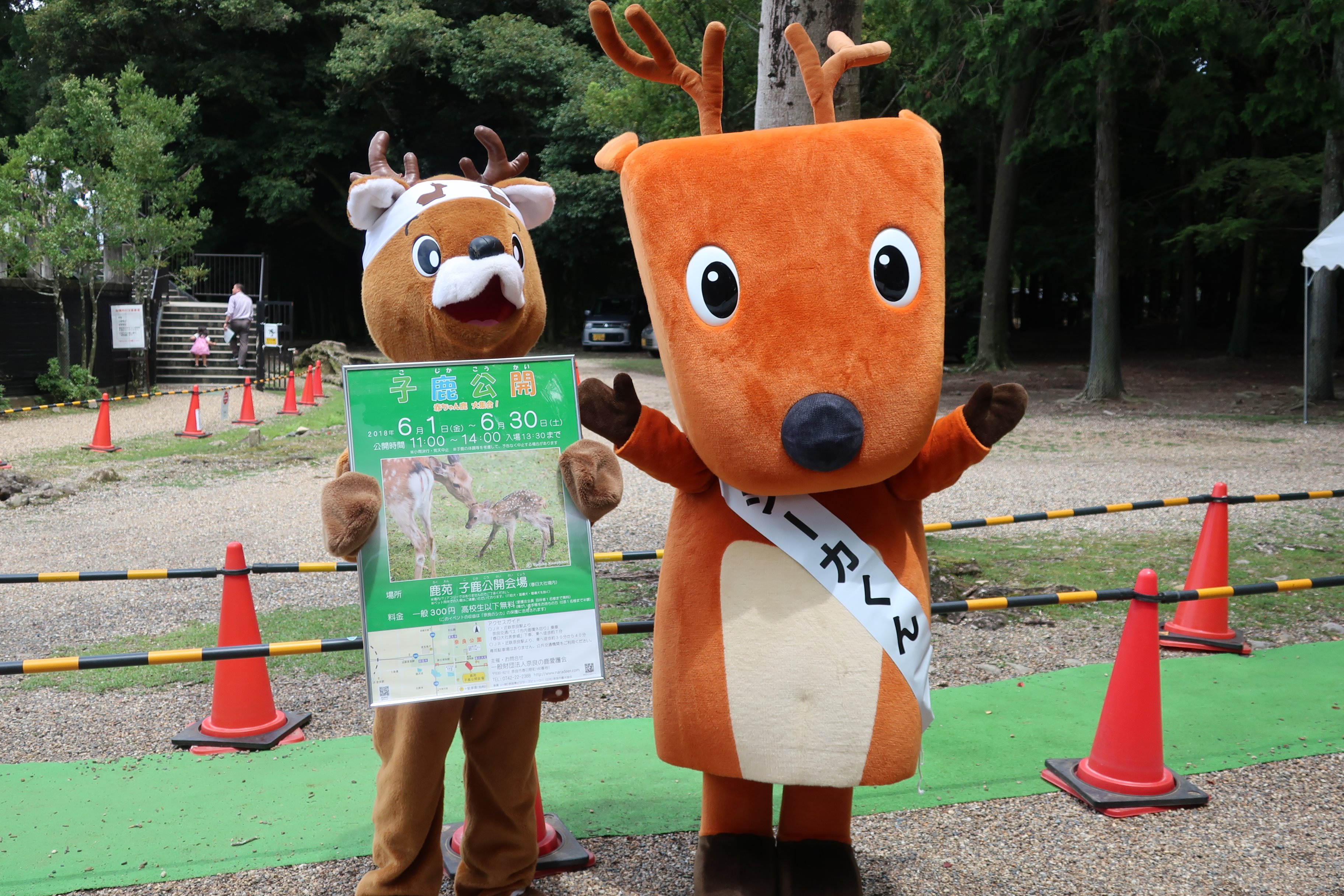 一般財団法人奈良の鹿愛護会 公式アカウント On Twitter 子鹿公開 2018年の特別公開 子鹿公開 赤ちゃん鹿 大集合 は 本日が最終日です 奈良の鹿愛護会イメージキャラクター ならのしかおくん 奈良交通マスコットキャラクター シーカくん たちが 応援