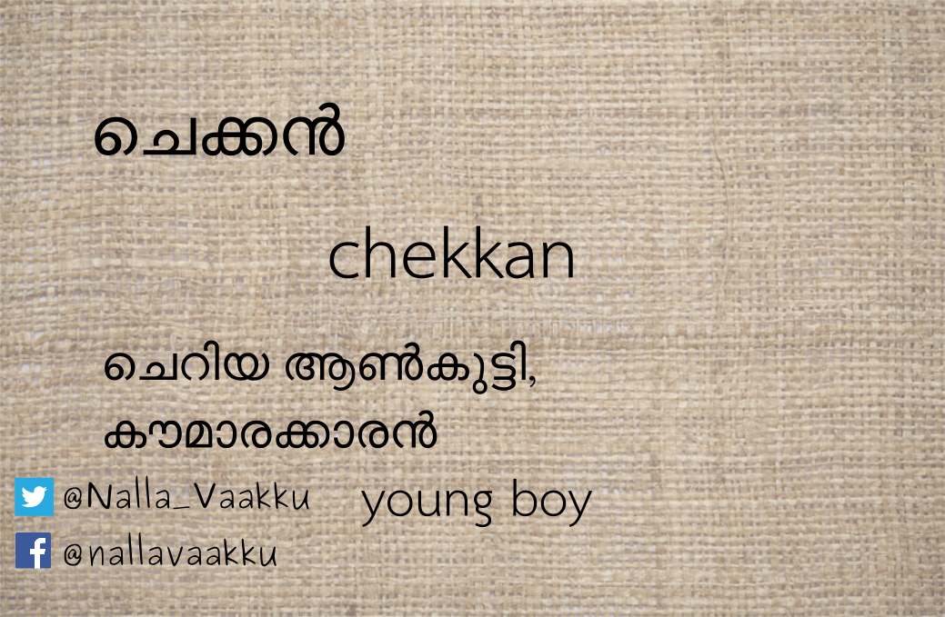 Nalla Vaakku on X: The boy next door is the answer to many questions.. # malayalam #wordoftheday #meaning #language #kerala #boystuff   / X