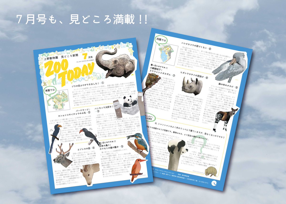 上野動物園の見どころ新聞ZOOTODAY、あざやかなアサガオ色の7月号が